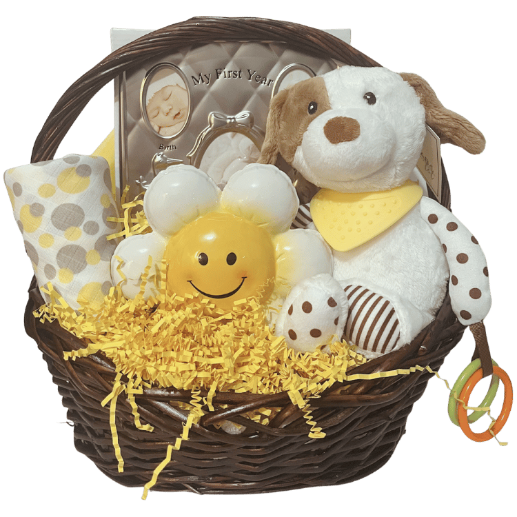 Snuggles & Smiles Baby Gift Basket