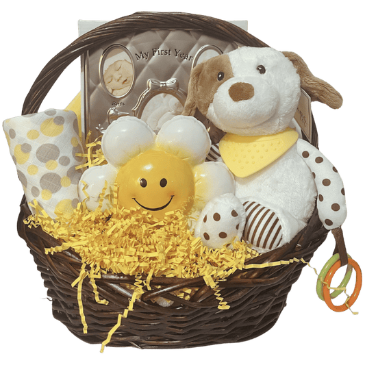 Snuggles & Smiles Baby Gift Basket